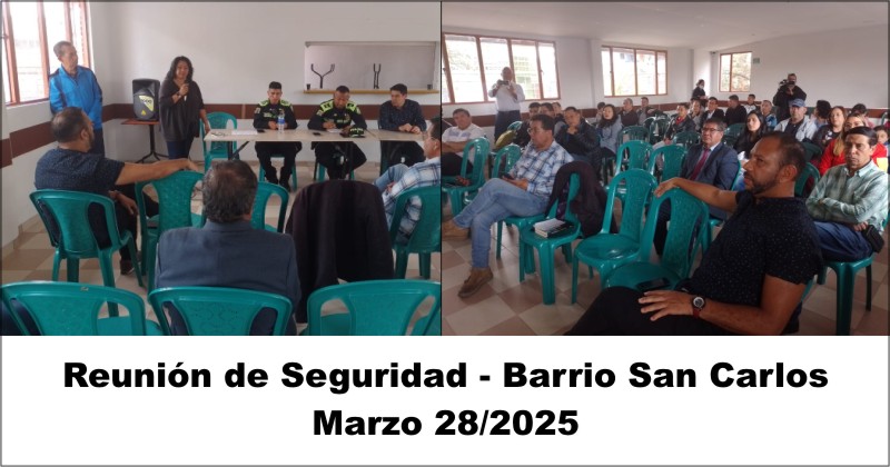 Seguridad Barrio San Carlos